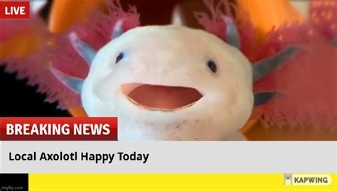 Axolotl Meme Face