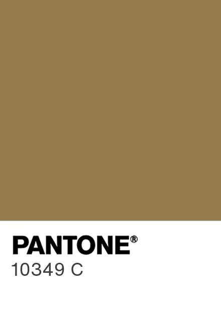 Pantone® Uk Pantone® 10349 C Find A Pantone Color Quick Online