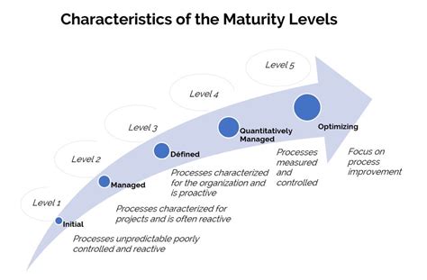 The Evolution Of Maturity Models In The Workplace