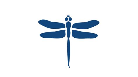 Dragonfly Sticker By Bartacolife For Ios And Android Giphy