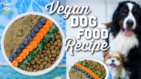 Make Your Own Vegan Dog Food Dog Food Recipes Vegan Dog Food
