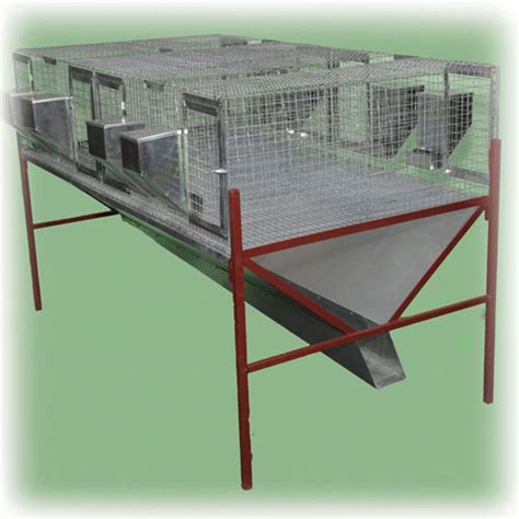Sistemelor de intretinere a iepurilor de casa pot fi diferentiate si clasificate luand in considerare densitatea animalelor pe unitatea de suprafata, ritmul de reproductie, tipul de adapost, tipul de hranire, etc. Custi pentru iepuri - modele principale si structura lor