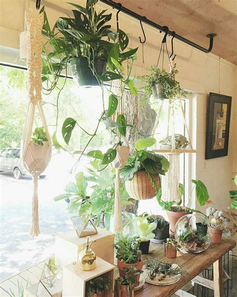 20 Diy Window Hanging Plants Ideas For Your Home Decoration 4 House