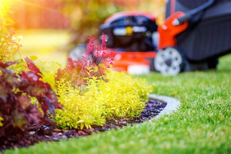 Gardeninglawn Care Tips Judd Builders