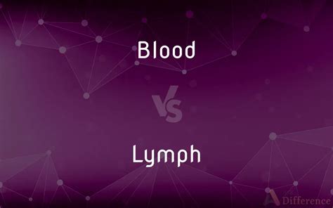 Blood Vs Lymph — Whats The Difference