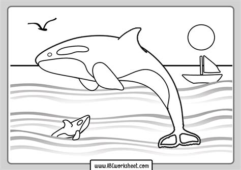 Orca Killer Whale on the sea Coloring page - ABC Worksheet