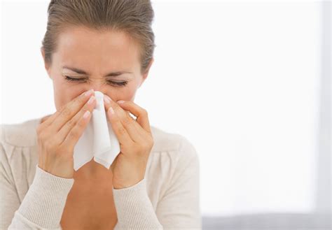 15 Remedios Caseros Para La Sinusitis ¡los Tratamientos Naturales Más