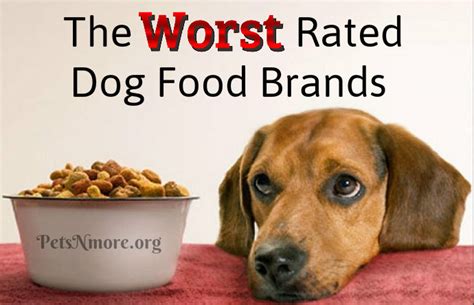 Pets N More The Worst Rated Dog Food Brands