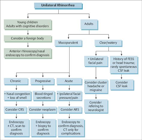 Clinical Examination And Differential Diagnosis In Rhinology Ento Key