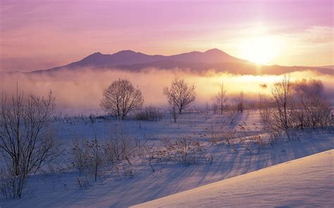 Wallpaper Winter Snow Morning Sunrise Trees Mist 1920x1080 Full Hd