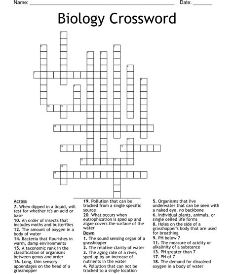 Biology Crossword Wordmint