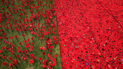 Knitted Poppies Bing Wallpaper Download