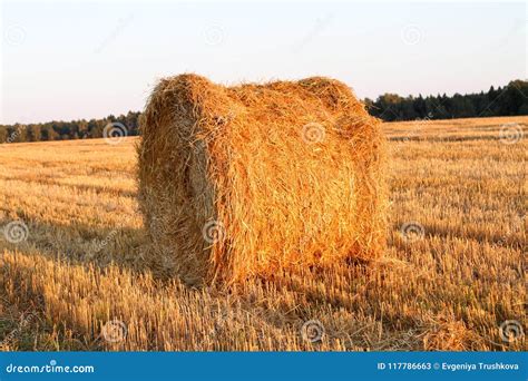 Haystack Harvest Agriculture Field Landscape Agriculture Field