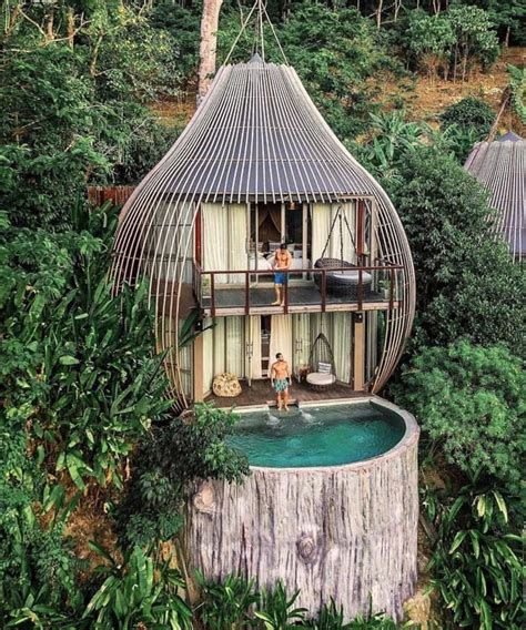 Fantastic Treehouse Hotel Near Phuket Thailand Spaceoptimized Cool Tree Houses Tree