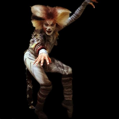 Welcome to the cats musical wiki cats is a musical composed by andrew lloyd webber, based on catsmusical.wikia.com domain statistics. Quaxo | 'Cats' Musical Wiki | FANDOM powered by Wikia