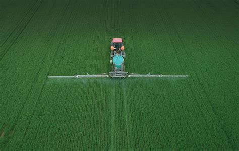 Play it safe with pre-harvest glyphosate - Grainews