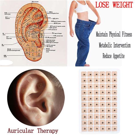 Auriculotherapy For Weight Loss Blog Dandk