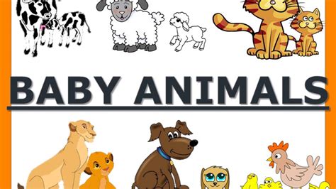 Baby Animals How To Teach A Child About Baby Animals Preschool And