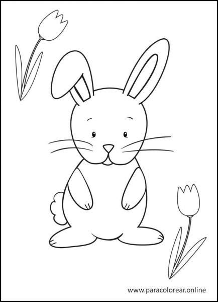 Los Mejores Dibujos De Conejos Para Colorear Imprimir Y Pintar 🐰