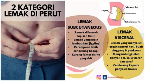 Nutritionist Kongsi Cara Kurangkan Lemak Di Perut Yang Terbukti Berkesan