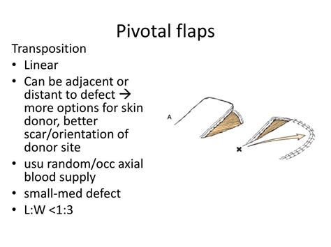 PPT Cummings Chap 24 Reconstruction Of Facial Defects PowerPoint