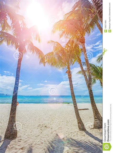 Tropical White Sand Beach In Boracay Philippines Stock Photo Image