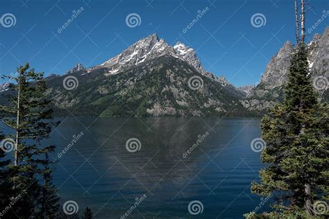 Grand Teton Mountains Rise Above Jenny Lake Stock Image Image Of Pine