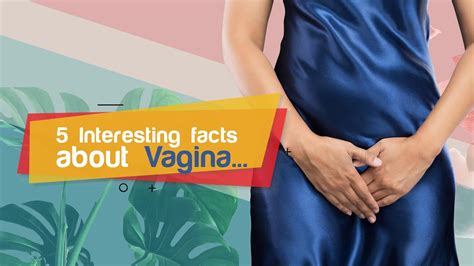 Interesting Facts About Vagina By Scripted Youtube