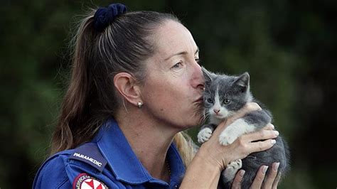 Kitten Is Rescued From Burning Home And Revived With Oxygen Life With Cats