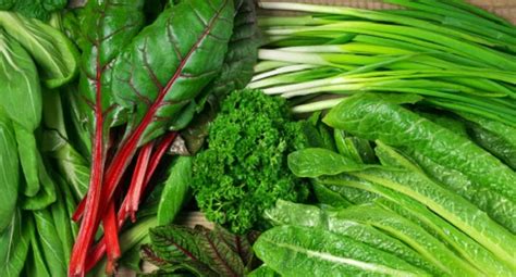 Leafy Greens How To Source Wash Store And Prepare Them Awaken