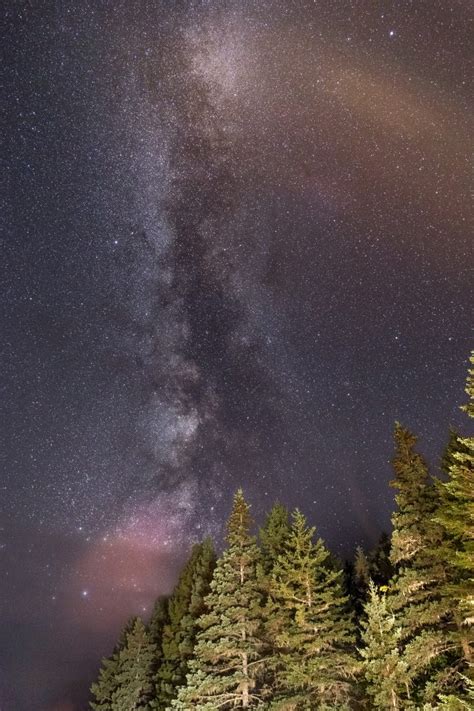 Milky Way Forest Free Stock Photo Iso Republic