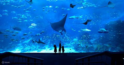 Buche Dein Ticket Für Das Sea Aquarium In Sentosa Singapur Online