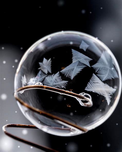 Incredible Alaskan Frozen Bubble Photography Bubbles Photography