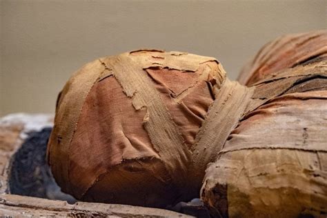 Scan Finds Cancer In Ancient Egyptian Mummy Ordo News