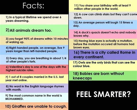 Strange Facts Weird Facts Facts Infographic