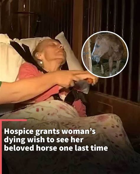 Hospice Grants Womans Dying Wish To See Her Beloved Horse