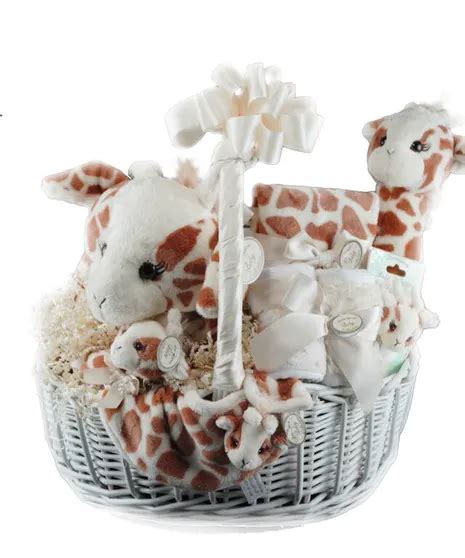 New baby gift baskets at gourmet grocery online: New Baby Flowers & Gift Delivery Hollywood (FL) Same-day ...