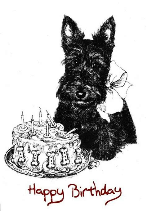 Födelsedag Happy Birthday Dog Scottie Puppies Scottish Terrier Puppy