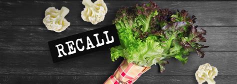 Recalls Issued For Red And Green Leaf Lettuce Cauliflower Andnowuknow