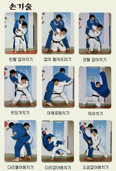 아직 출전권을 확보하지 못한 남자 81kg급의 이성호와 이문진, 여자 63kg. 유도 기술 - Google Search | 주짓수, 유도, 무술