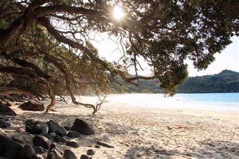 10 Best Beaches On New Zealands Coromandel Peninsula Vision Board