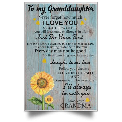 To My Granddaughter Never Forget How Much I Love You Poster