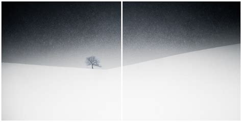 Winter M By Zoltan Bekefy