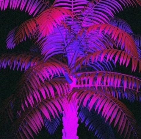 Replacing Millennial Pink Palm Trees Tumblr Neon Jungle Neon Palm Tree