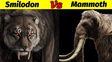 Sabertooth Tiger Vs Mammoth क्या Smilodon जीत पायेगा विशाल Mammoth से Youtube