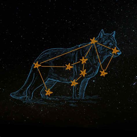 Lupus Constellation Facts Stories And Myths About The Wolf Constellation