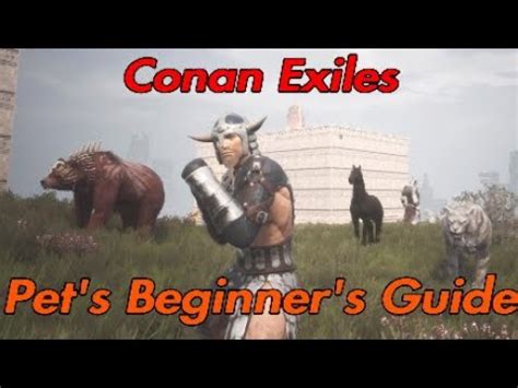 Conan Exiles Pet's Beginner's Guide - YouTube