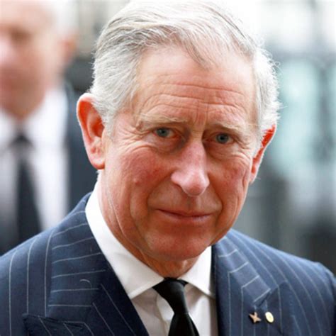 Testimonial Charles Prince Of Wales About Romania