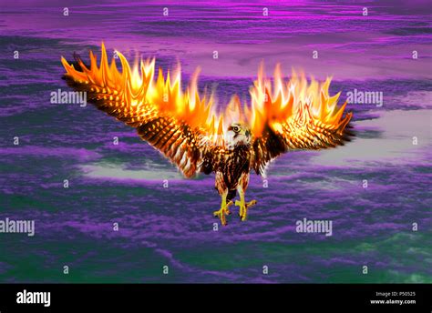 A Phoenix Bird Rising From The Ashes In Flames Stock Photo Alamy