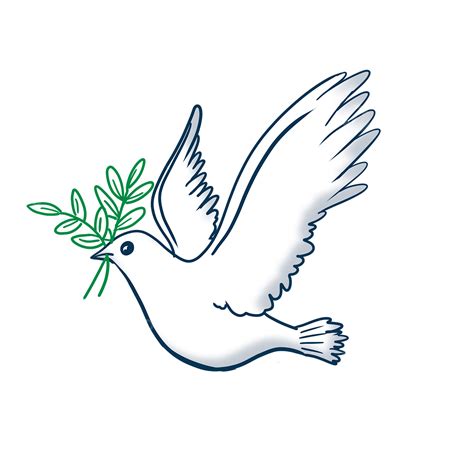 Peace Dove Png Transparent Peace Dove Cartoon Cute Simple Line Drawing